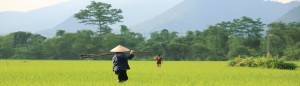 cropped-vietnam-bandeau1-3